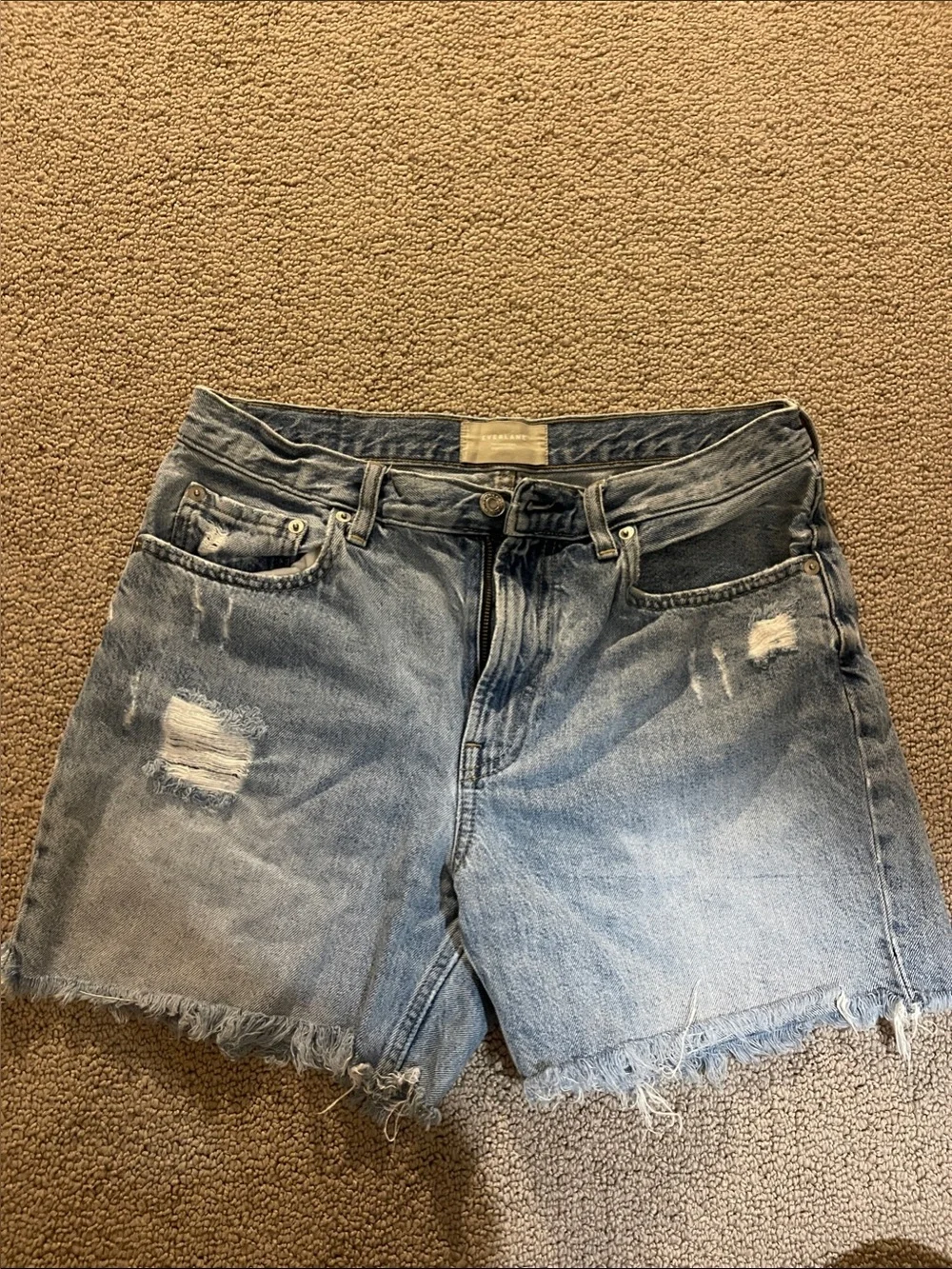 Everlane The Denim Short Organic Cotton